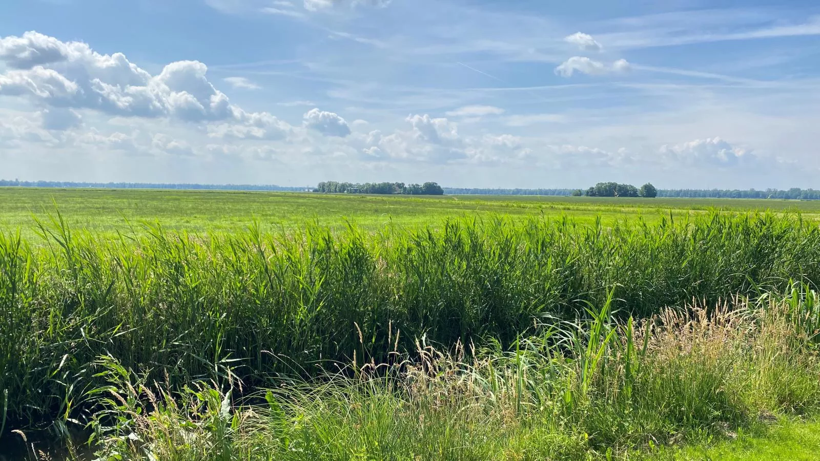 Sluisje 54-Gebieden zomer 5km