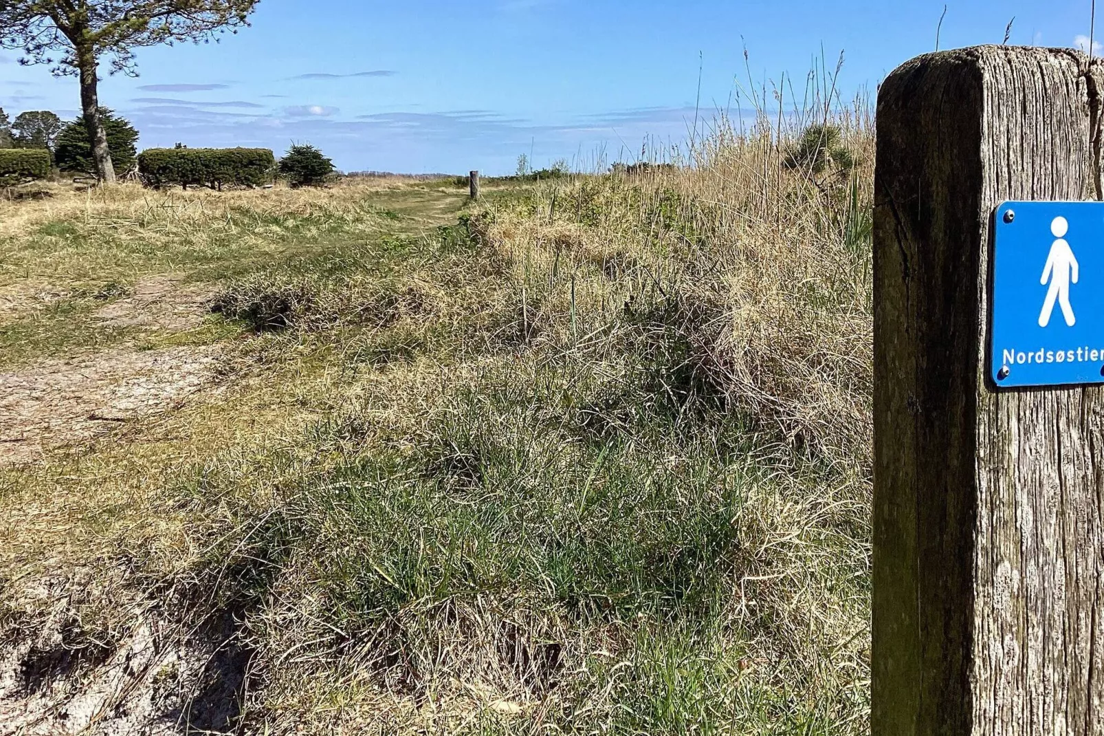 4 sterren vakantie huis in Hals-Buitenlucht