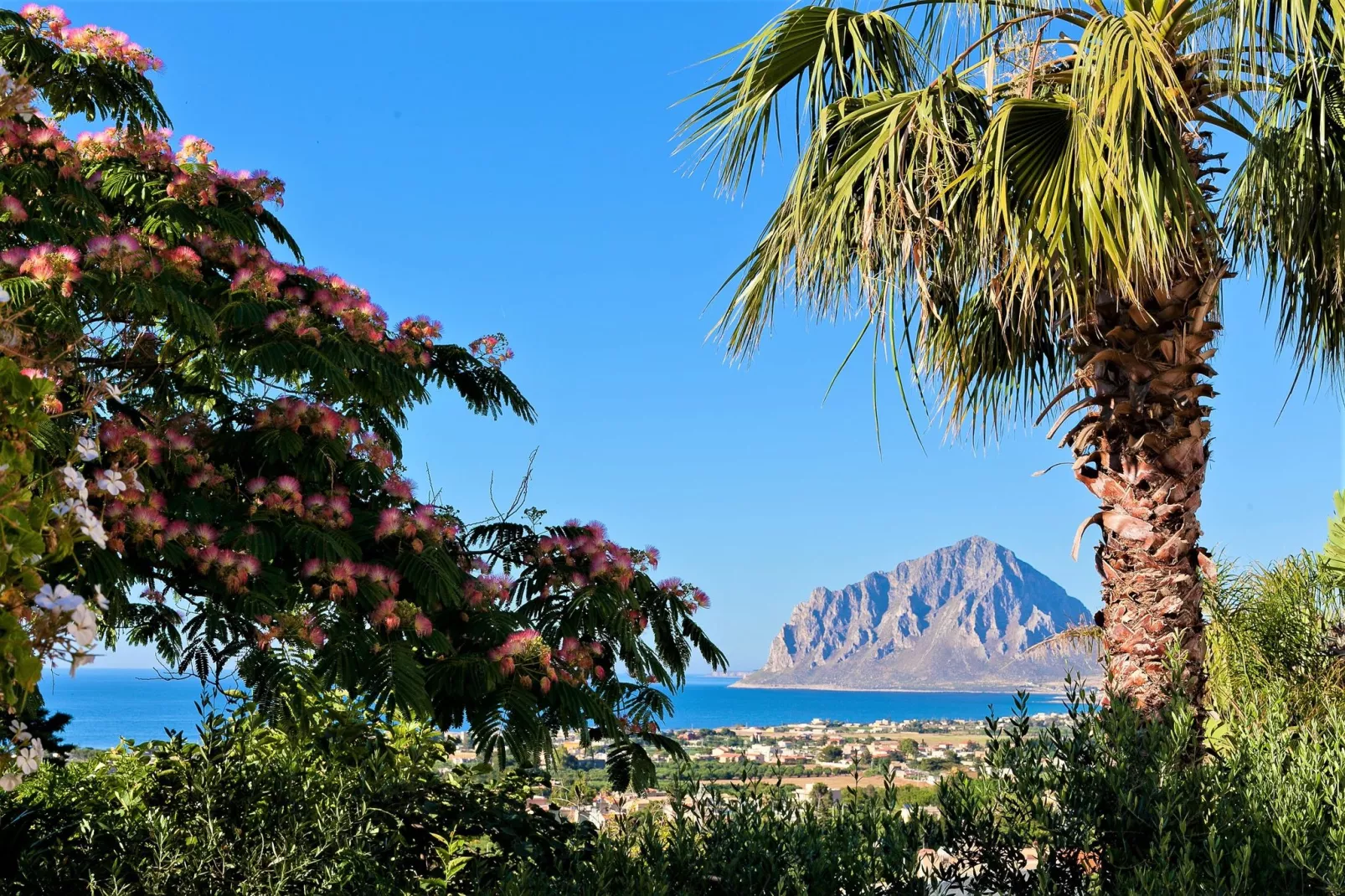 Villa Le Palme Nove-Gebieden zomer 20km