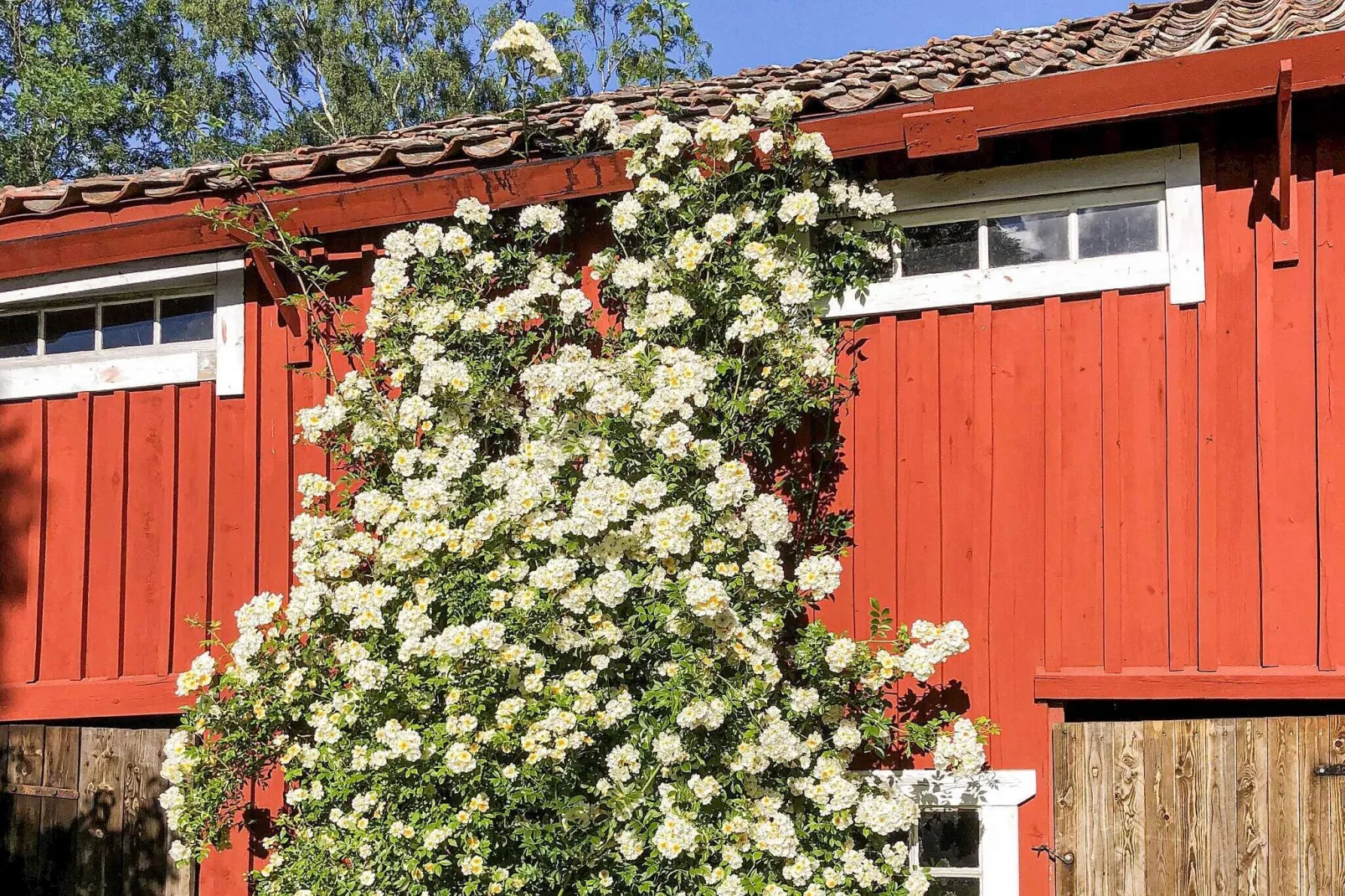 4 persoons vakantie huis in BJÖRKÖ-By Traum