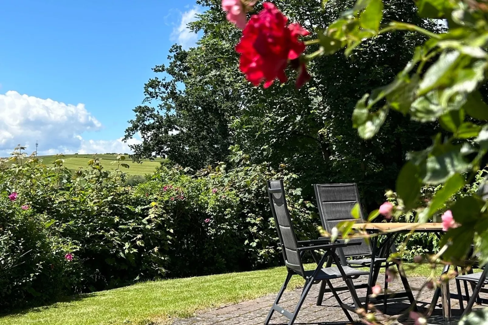 Burgblick-Terrasbalkon