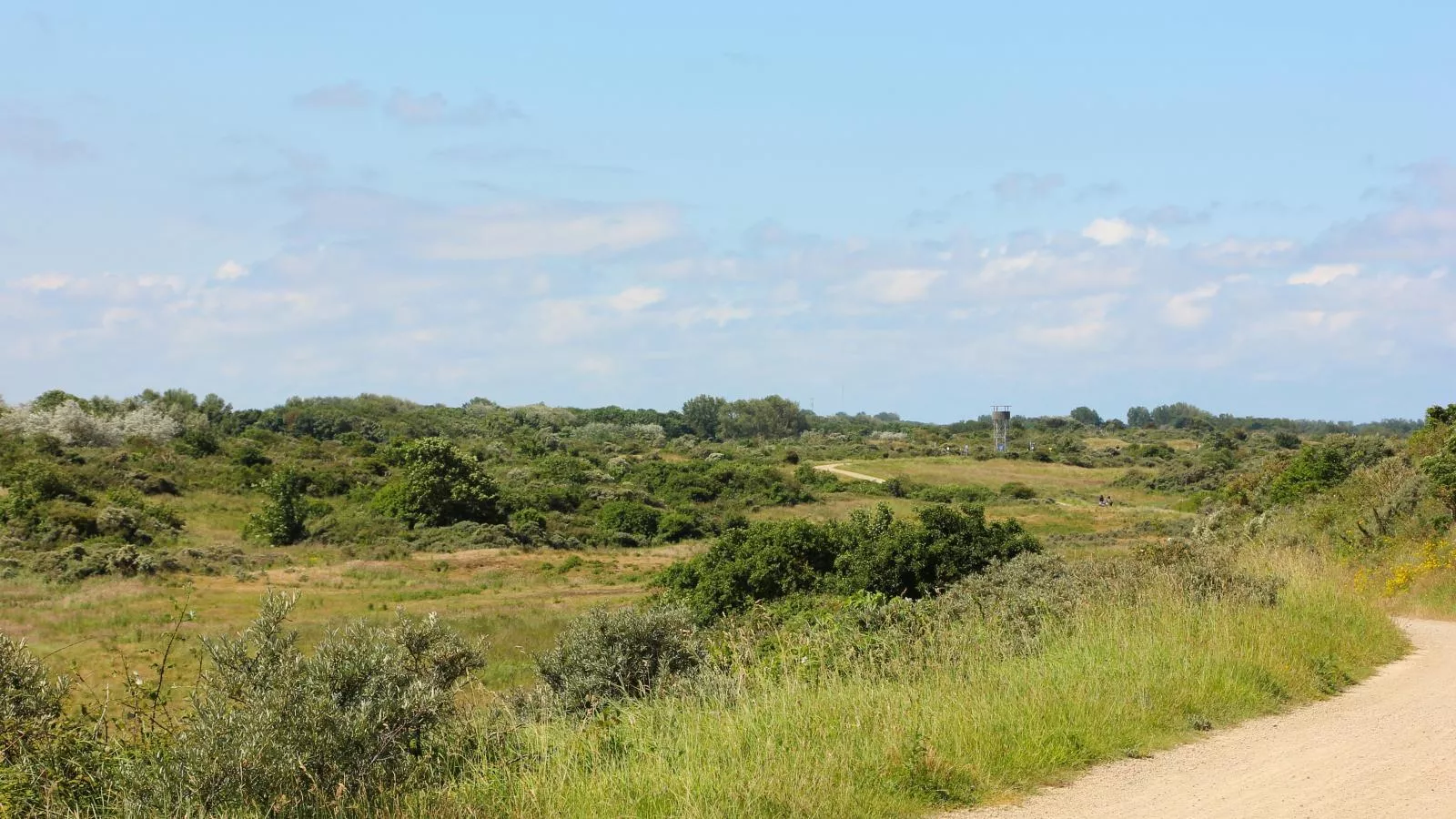 Tiny House Jet-Gebieden zomer 1km