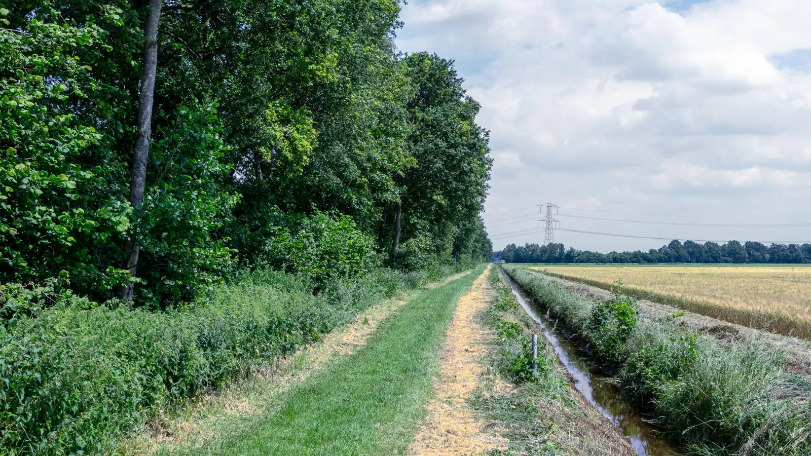 Bij de Buren-Gebieden zomer 1km