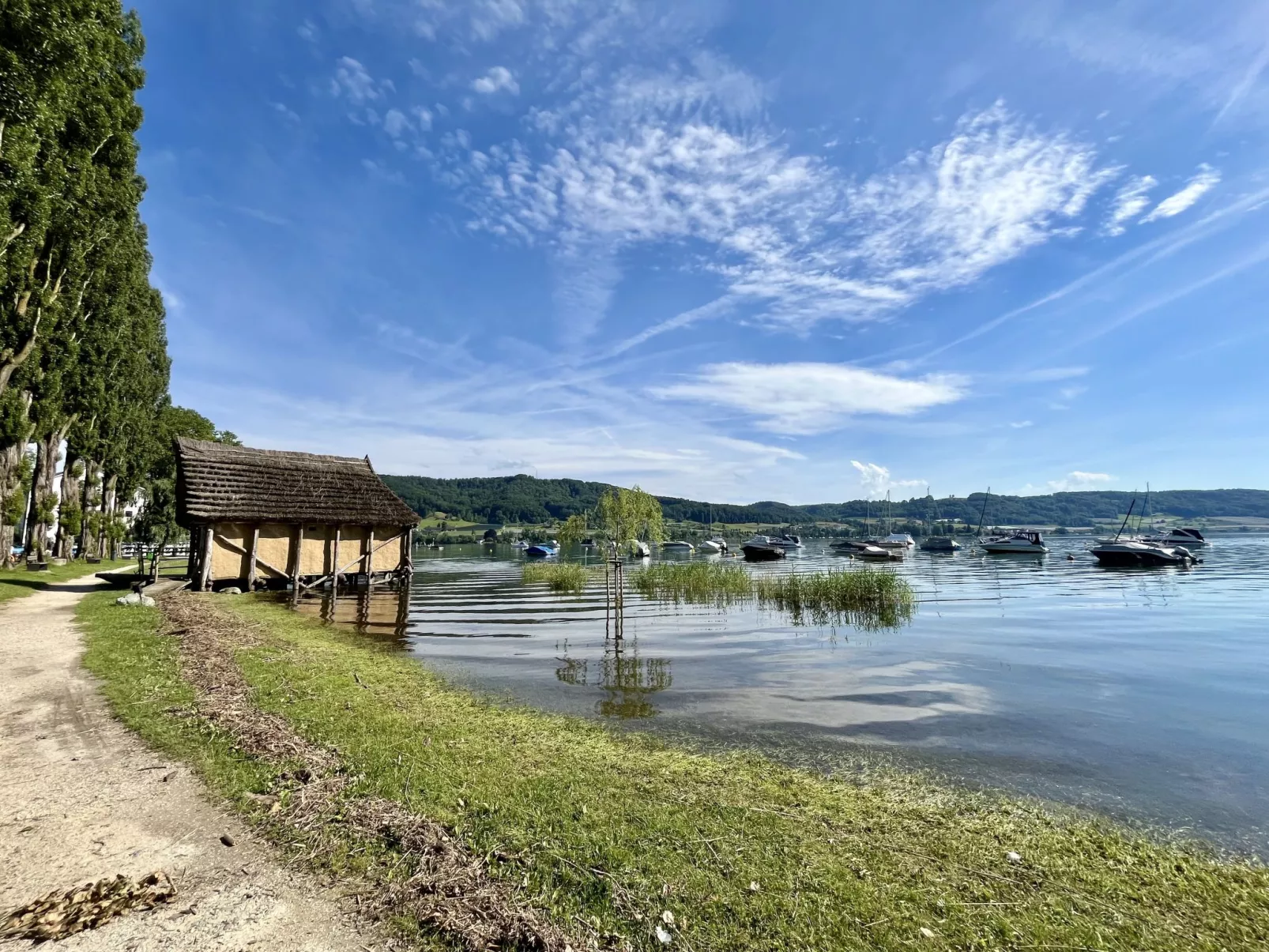 Seepanorama-Omgeving