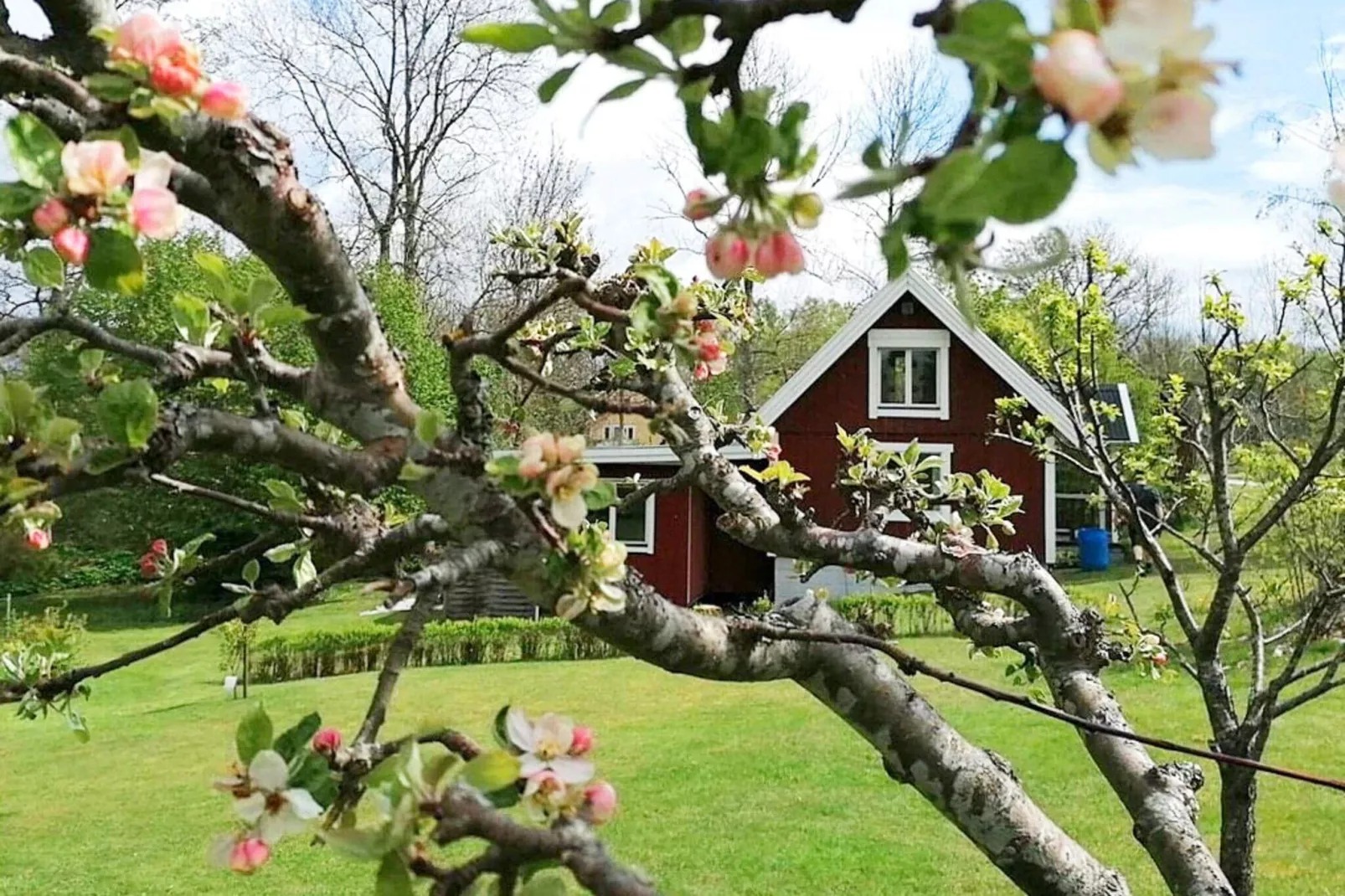 4 persoons vakantie huis in Holmsjö