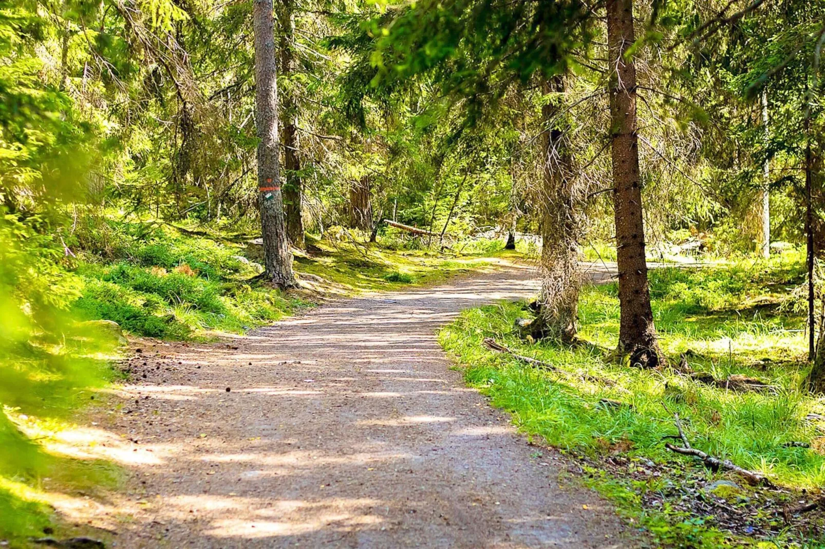 5 persoons vakantie huis in GRäNGESBERG-Niet-getagd