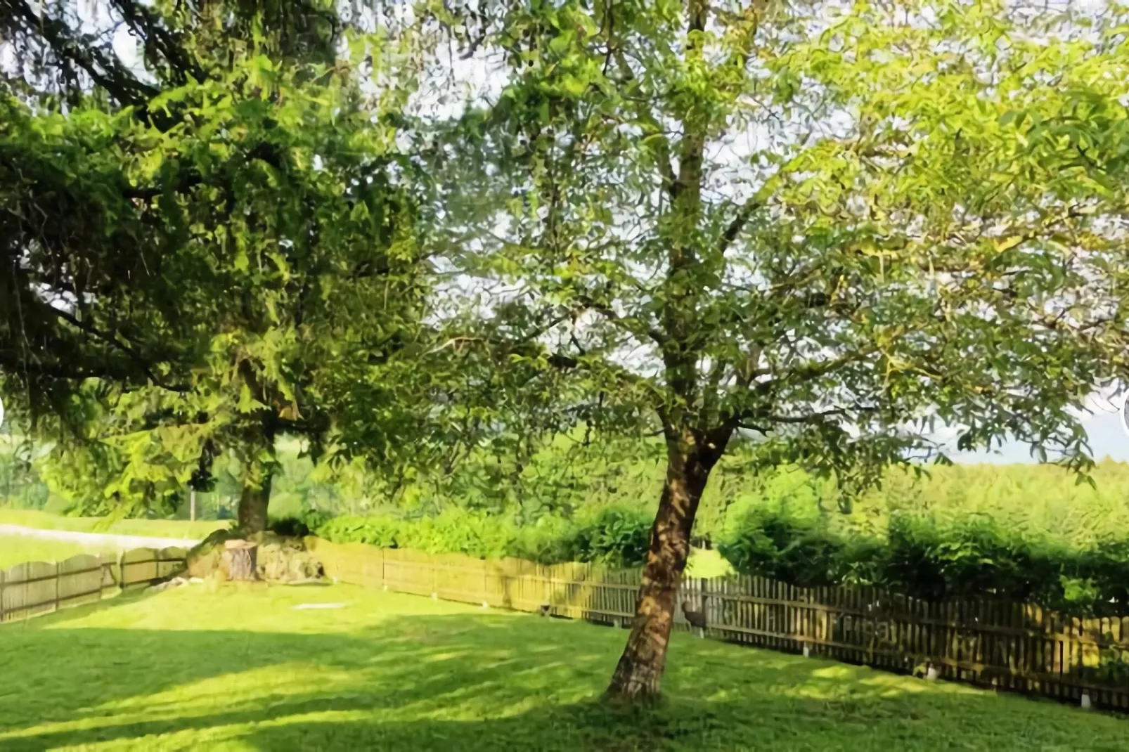 Ferienhaus "Am Malerhügel"-Tuinen zomer