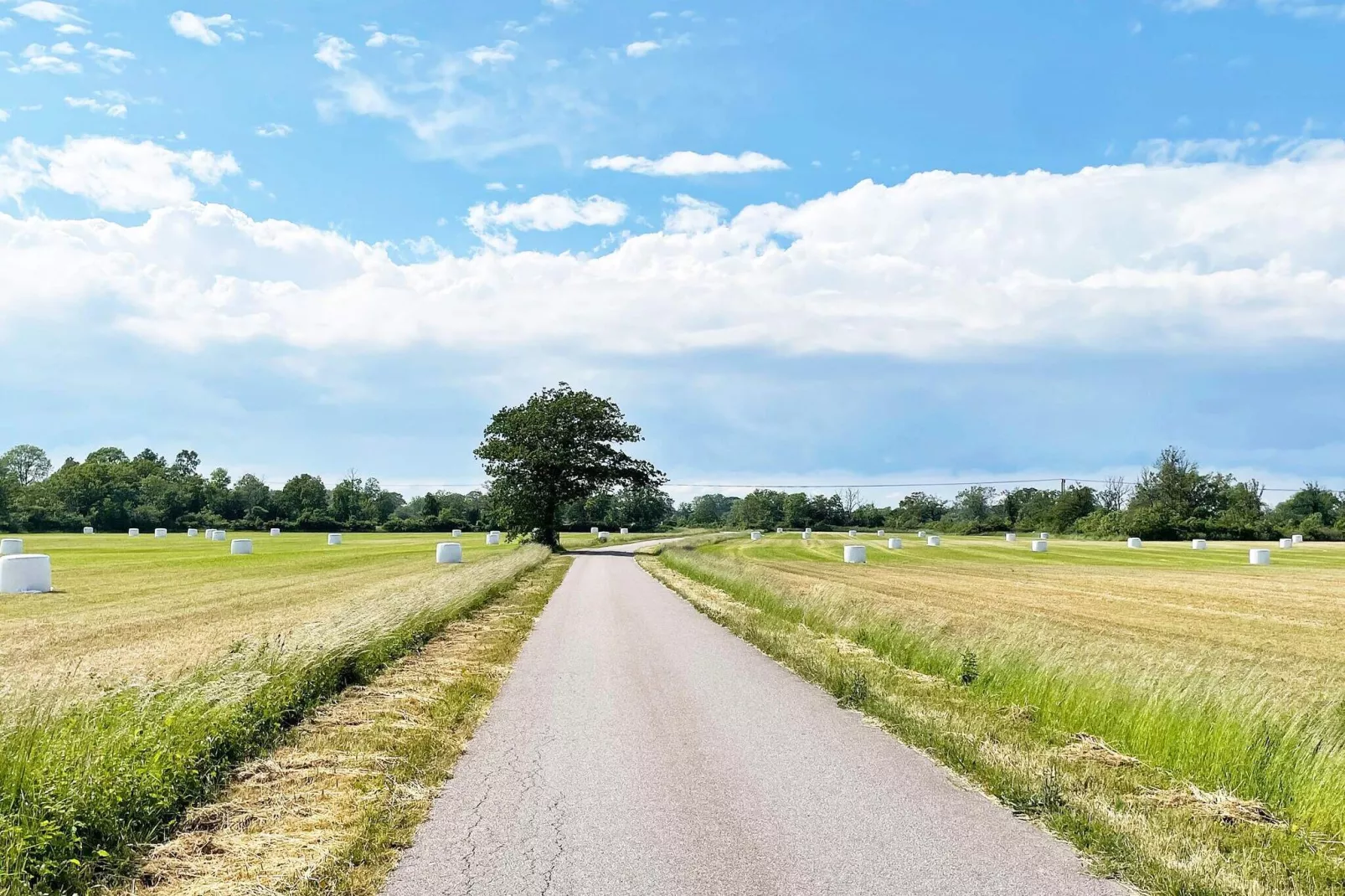 3 persoons vakantie huis in LÖTTORP-Niet-getagd