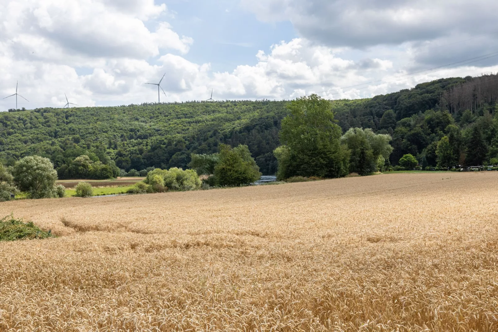 Ferienwohnung Fuldabrück-Gebieden zomer 5km