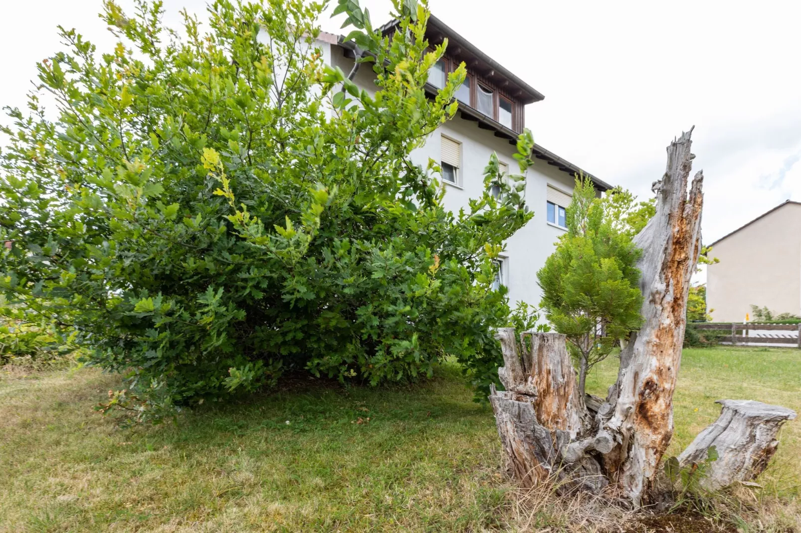 Ferienwohnung Fuldabrück-Tuinen zomer