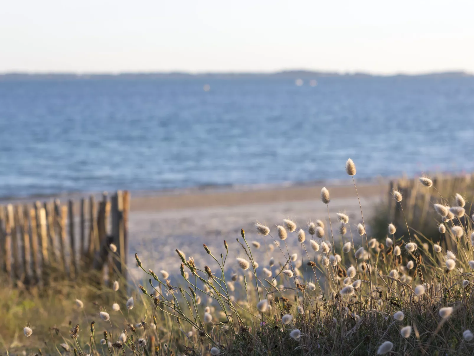 Les Salines-Omgeving