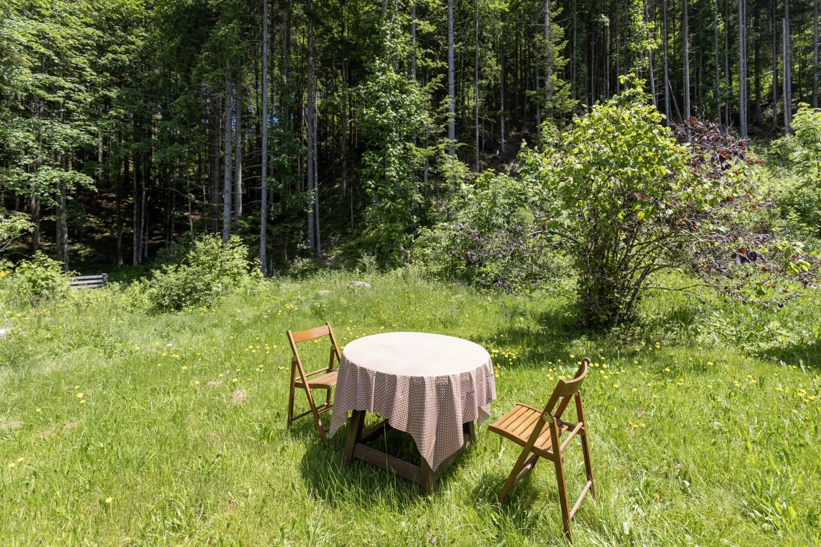 	 Ferienhaus Bodental-Tuinen zomer