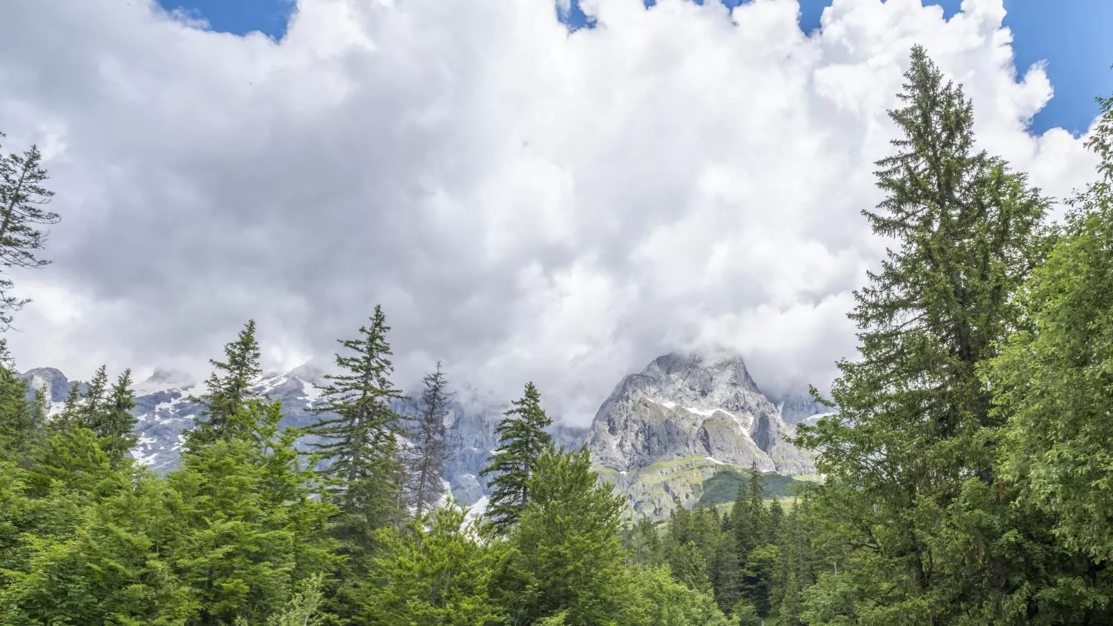 Alpen Villa Danica-Uitzicht zomer