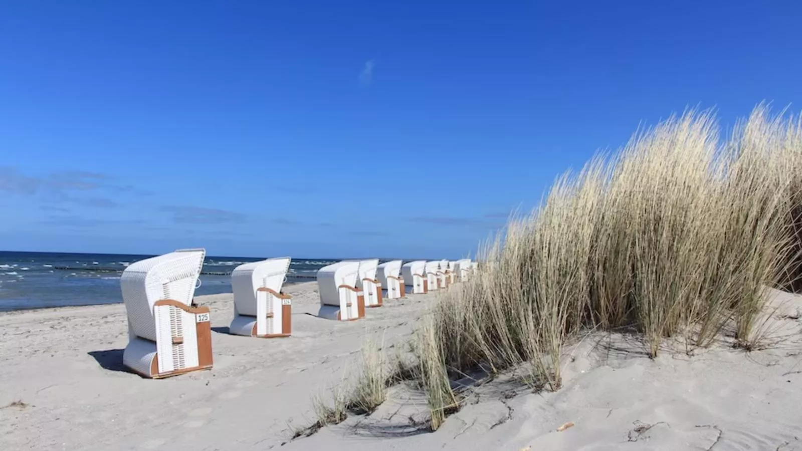 Gutshof Detershagen XL-Gebieden zomer 20km