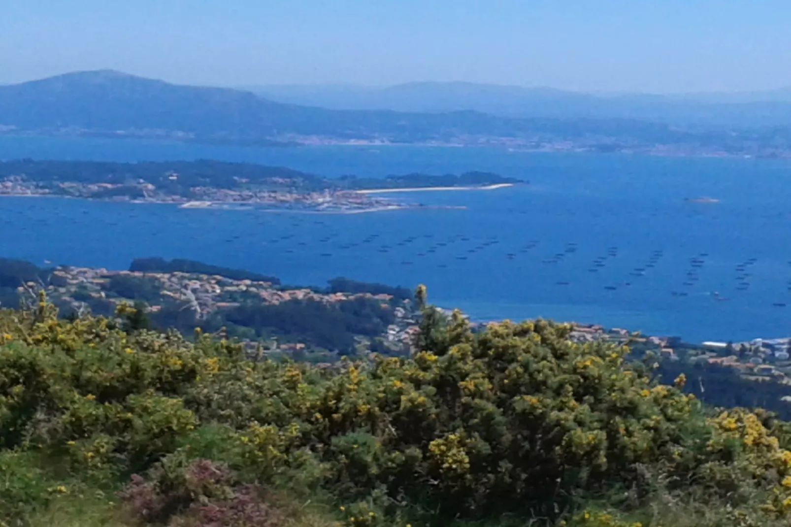 Playa Montalvo - Bajo 4-Gebieden zomer 1km