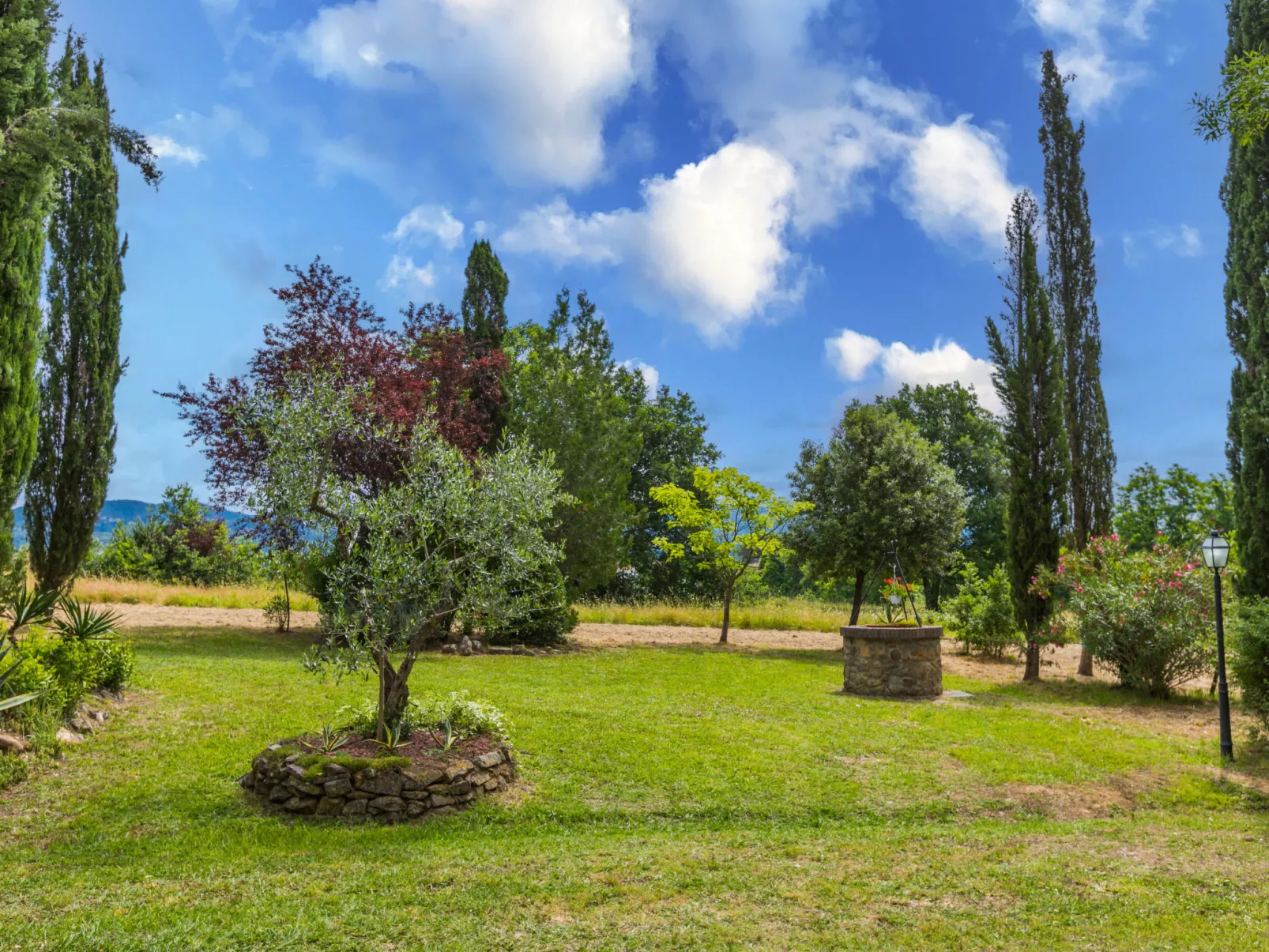 Tenuta La Colonna-Buiten