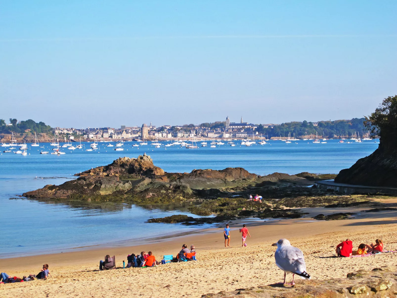 Le Cap Fréhel-Omgeving