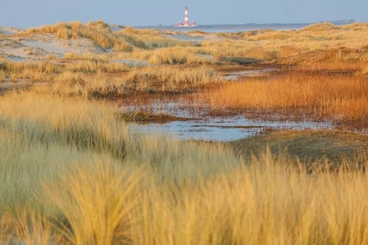 Mattgoot - Ferienhäuschen-Gebieden zomer 1km