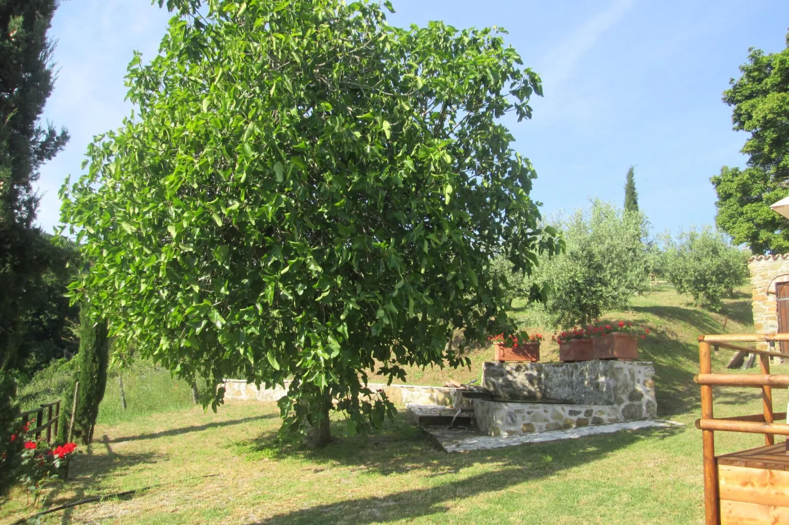 Villa Cielo di stelle-Tuinen zomer