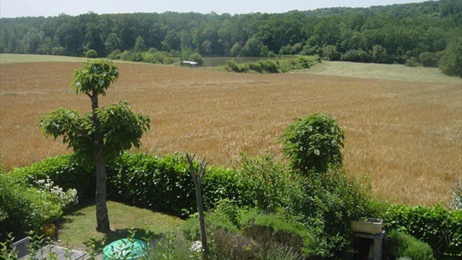 Tournesol-Uitzicht zomer