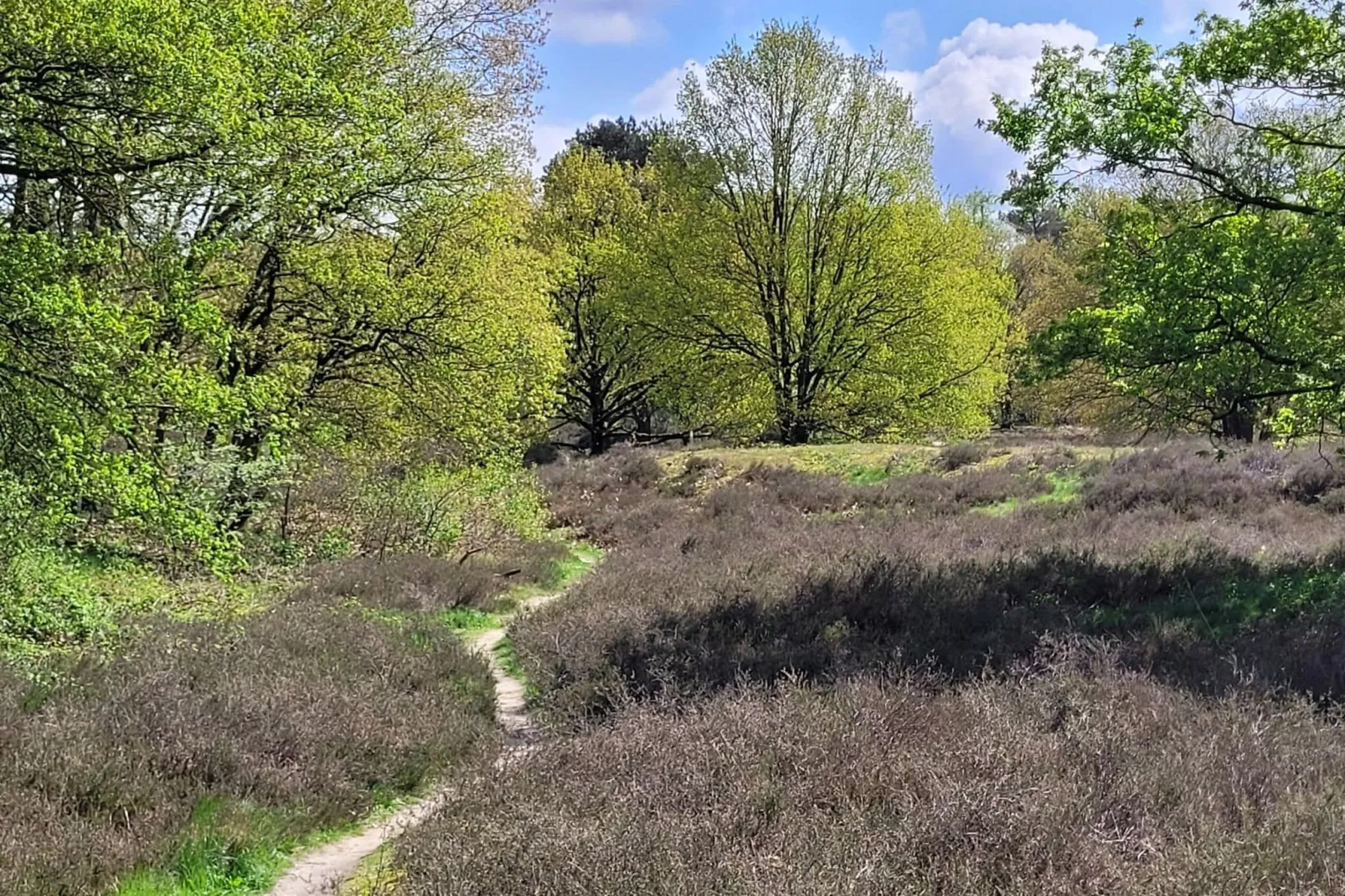 B&B Overloon 4 Personen-Gebieden zomer 1km