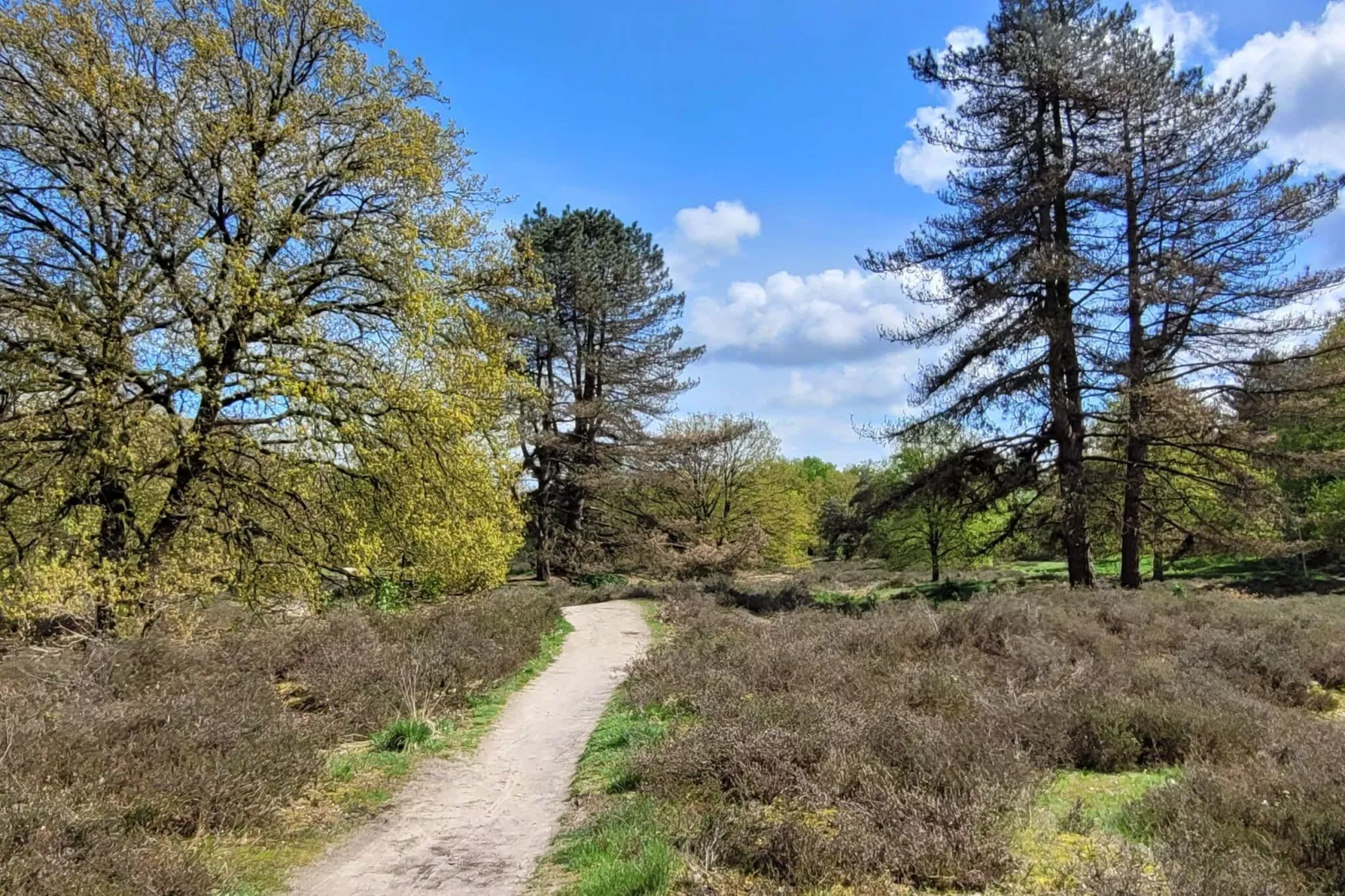 B&B Overloon 4 Personen-Gebieden zomer 5km