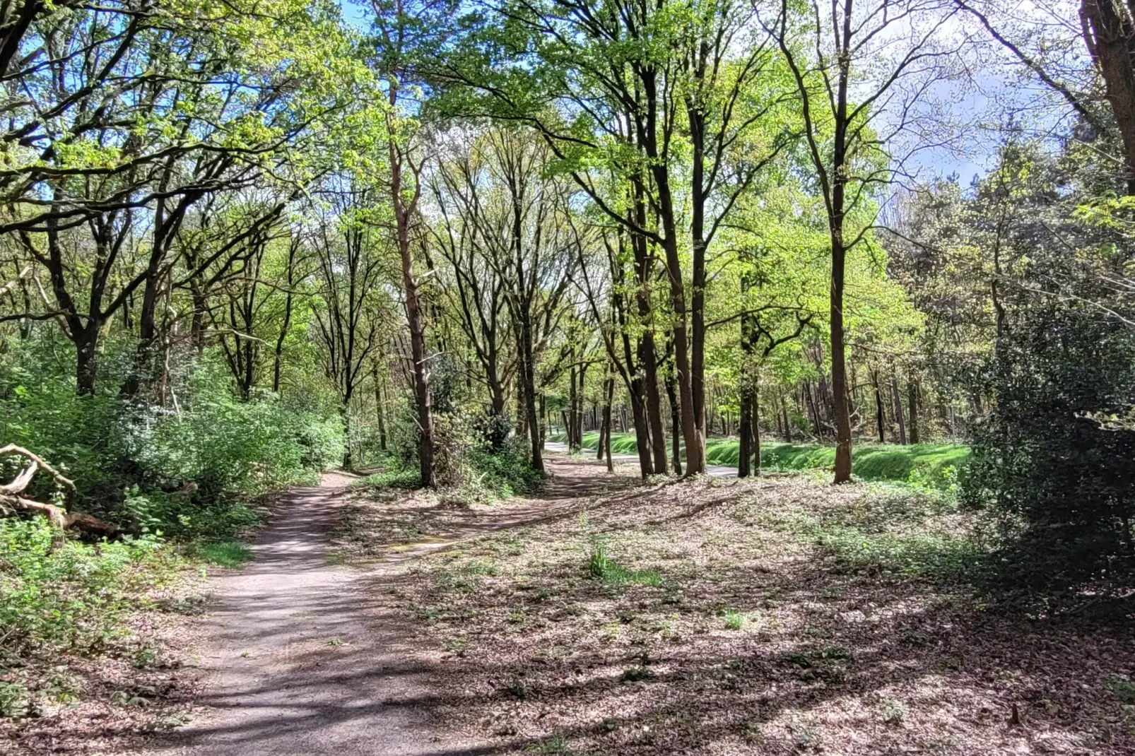 B&B Overloon 4 Personen-Gebieden zomer 20km