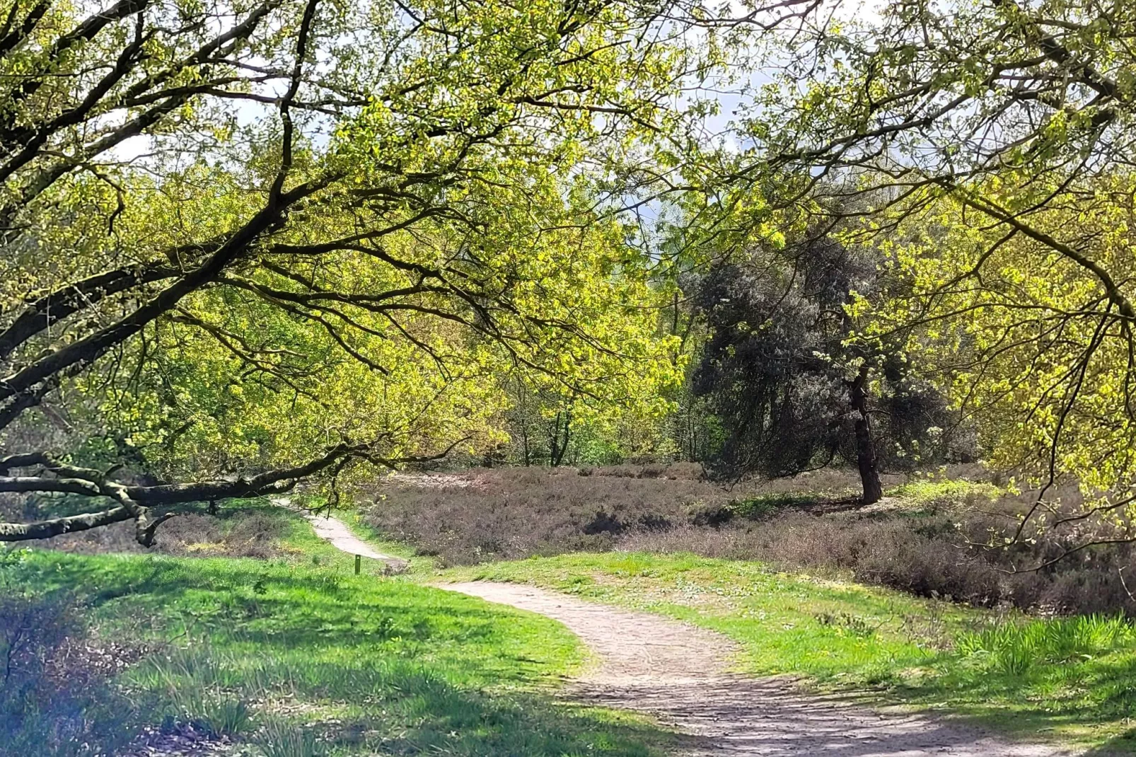 B&B Overloon 2 Personen-Gebieden zomer 5km