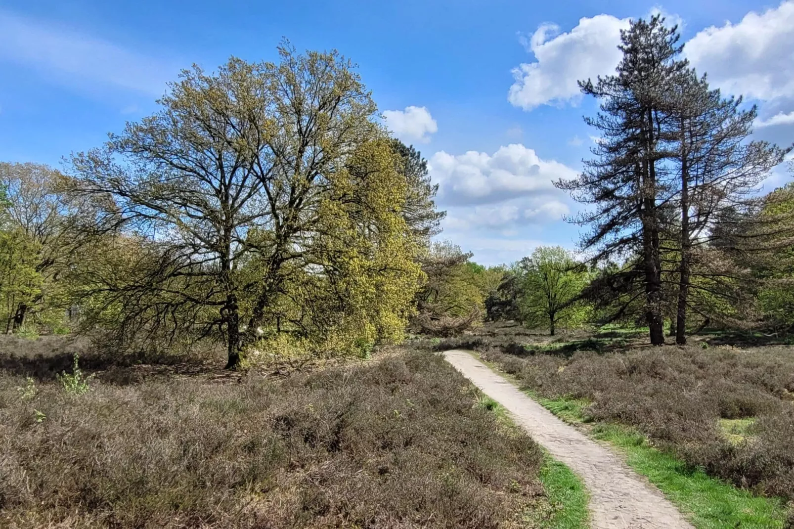 B&B Overloon 2 Personen-Gebieden zomer 5km