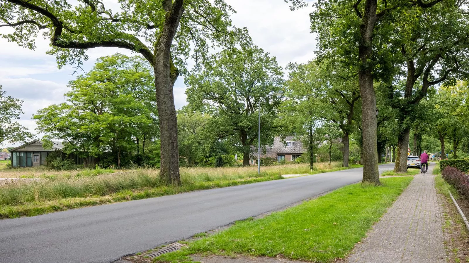 Zonnehoek-Gebieden zomer 1km