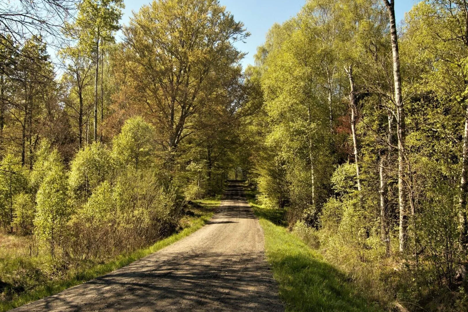 5 sterren vakantie huis in Urshult-Buitenlucht