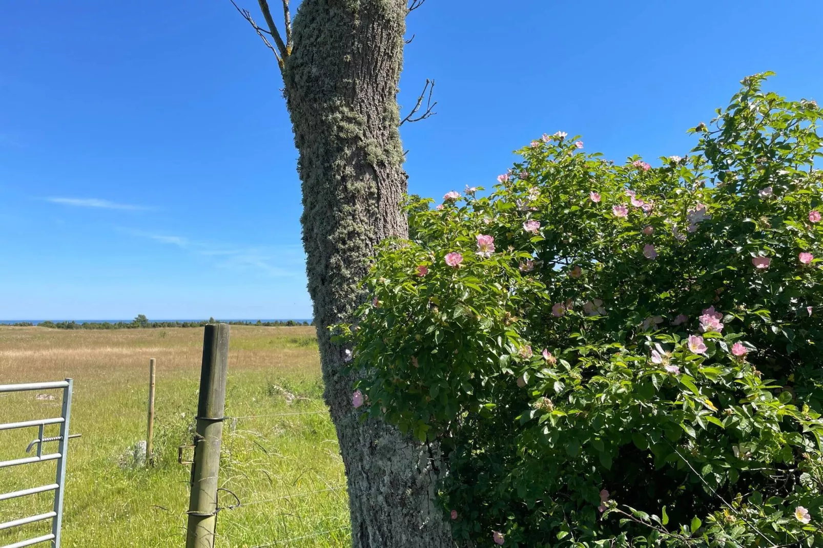 4 persoons vakantie huis in BORGHOLM-Buitenlucht