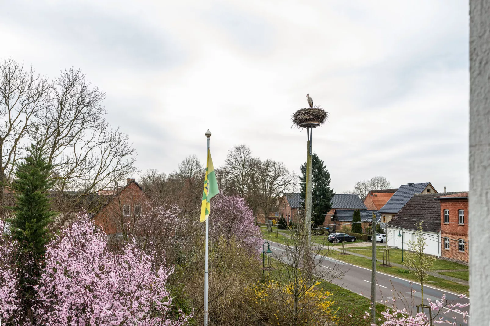 Studio 6 - Storchenhorst 2 Personen-Uitzicht zomer