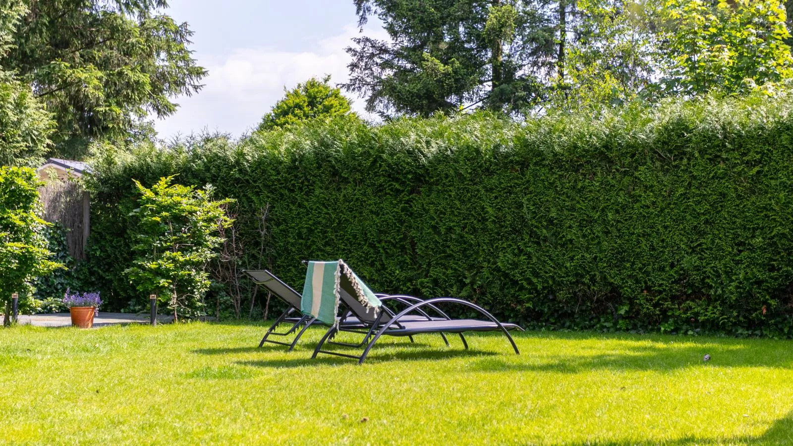 Abs Blokhut-Tuinen zomer