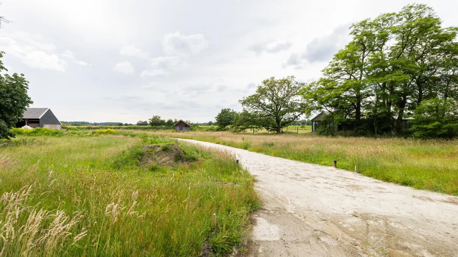 Zonnehoek-Gebieden zomer 1km