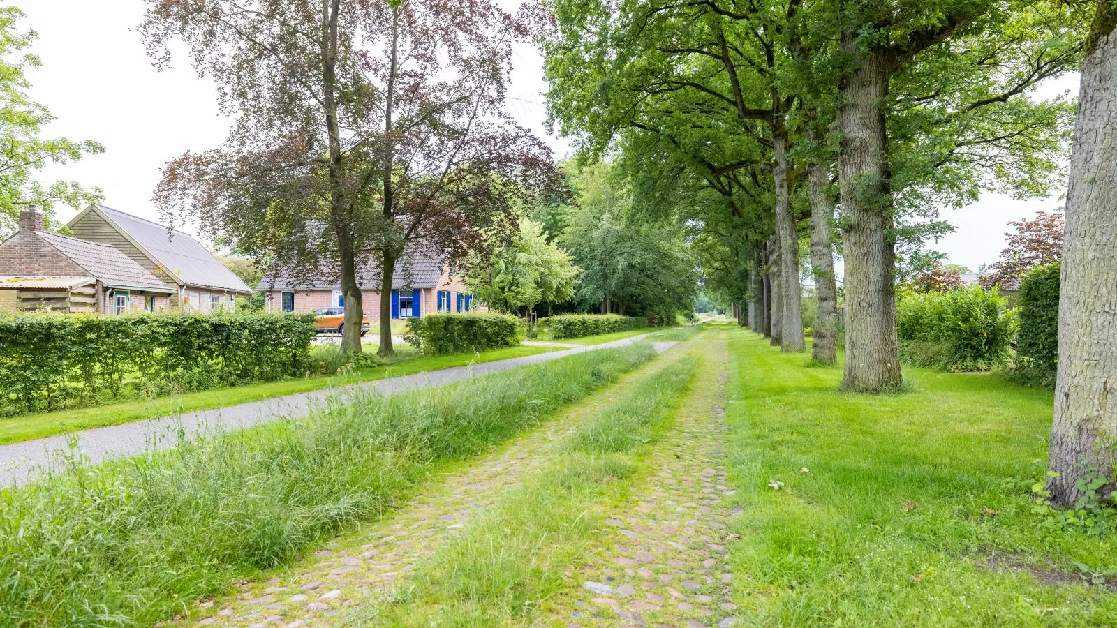 Zonnehoek-Gebieden zomer 1km