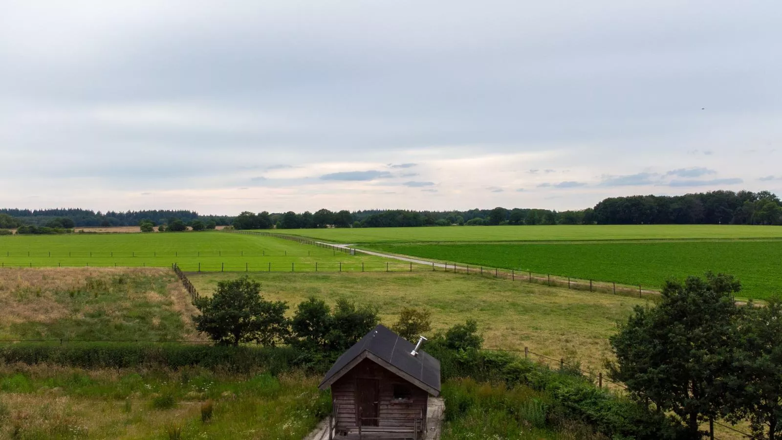 Zonnehoek-Gebieden zomer 1km