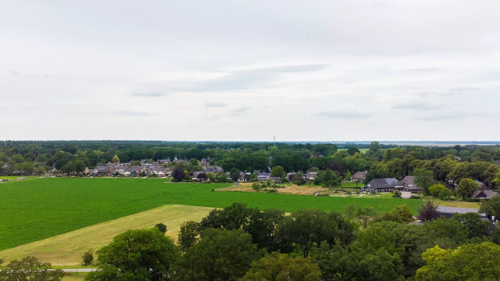 Zonnehoek-Gebieden zomer 1km