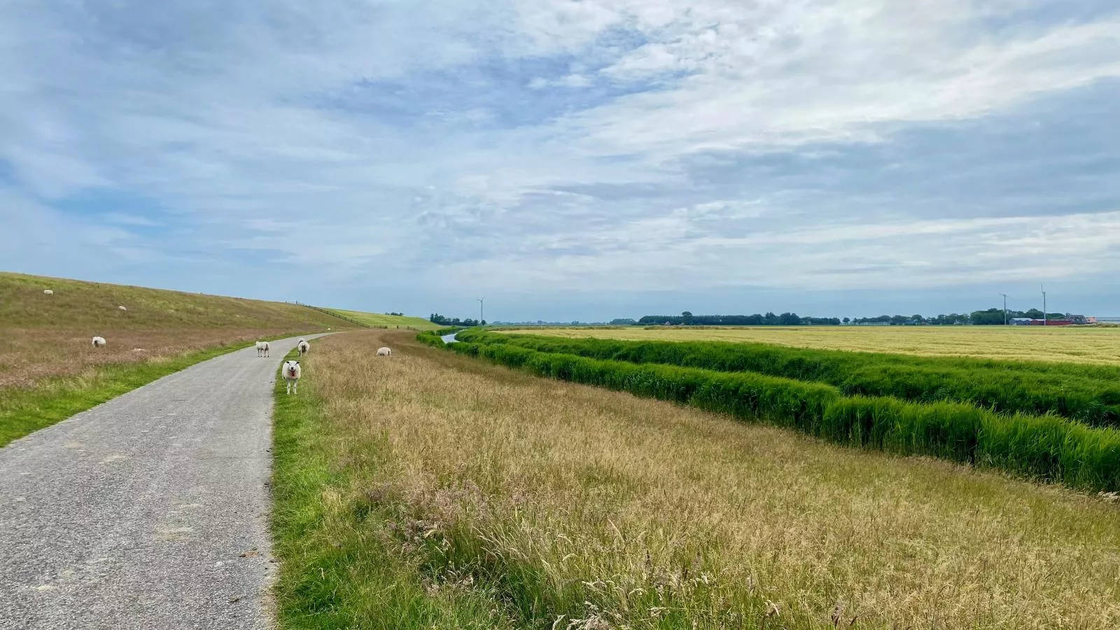 Huske 2-Gebieden zomer 5km