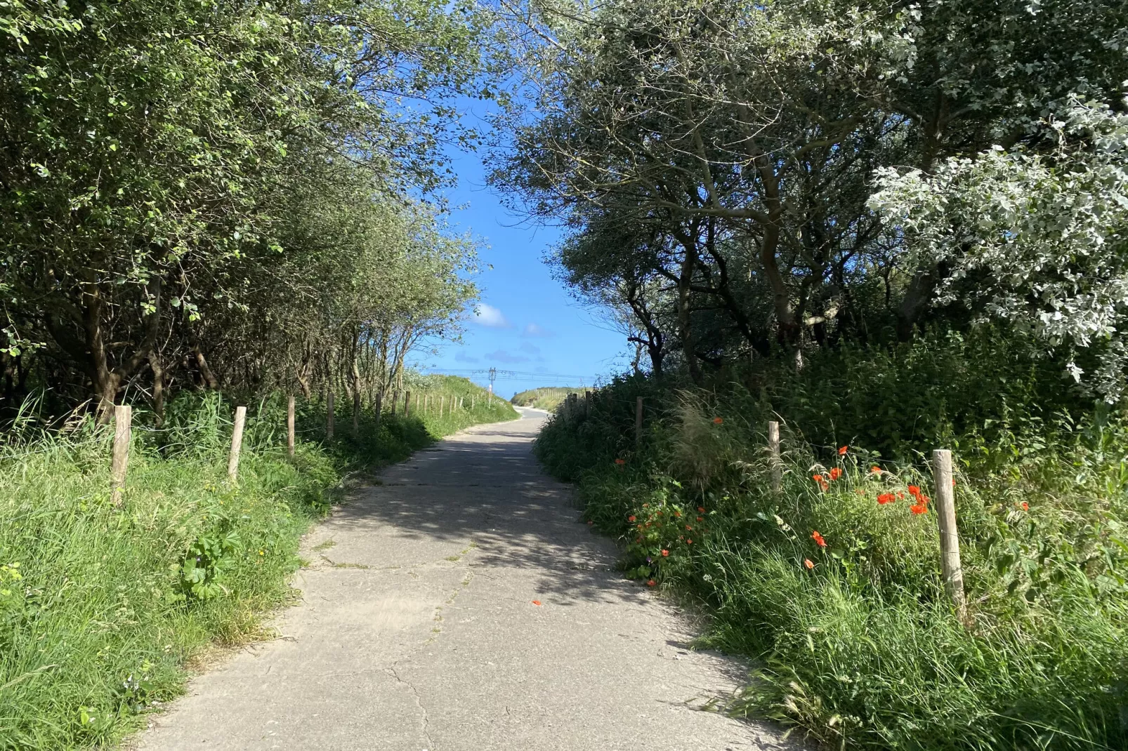 Sluisvaartstraat 72-Gebieden zomer 5km