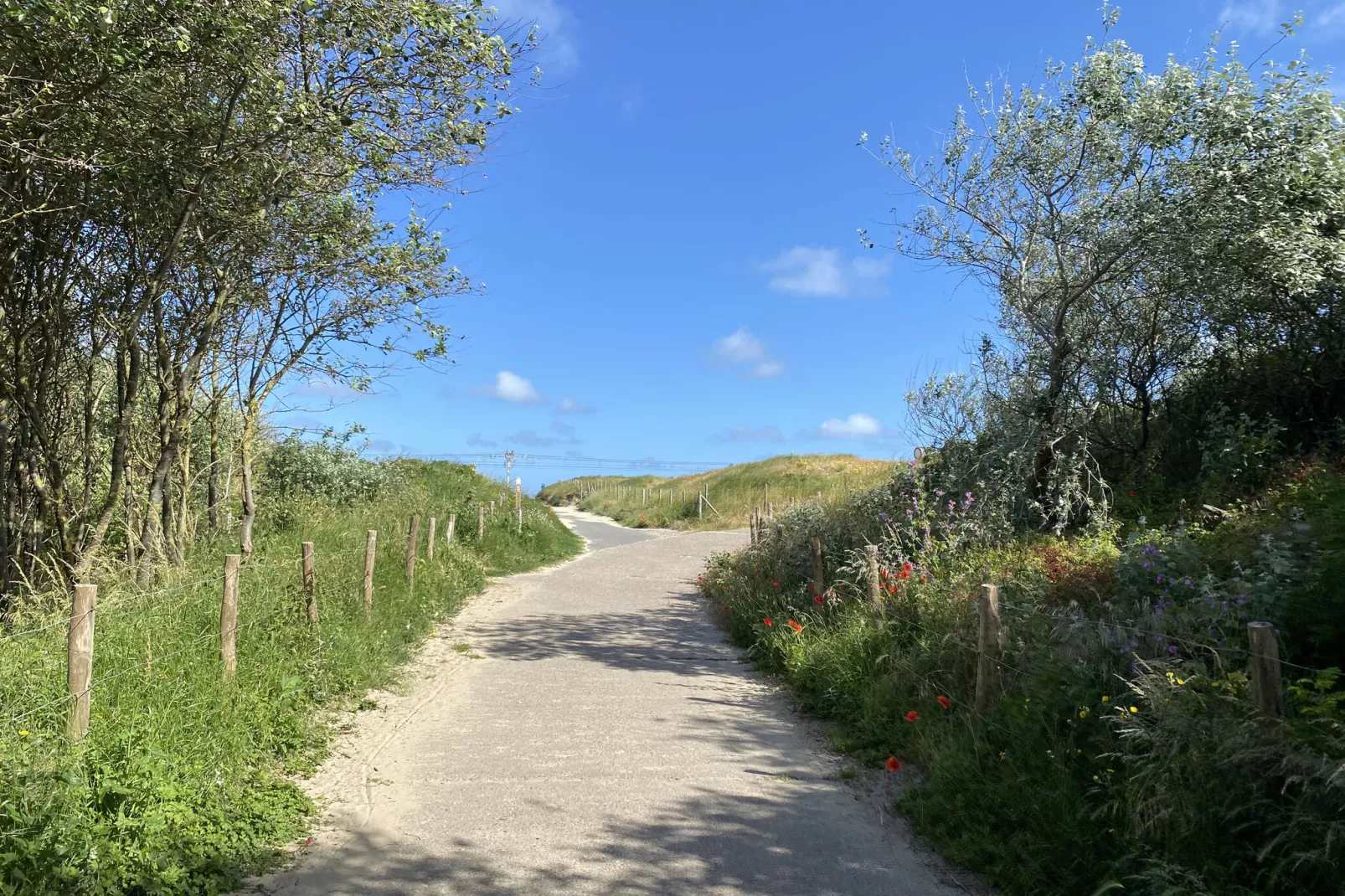 Sluisvaartstraat 72-Gebieden zomer 20km