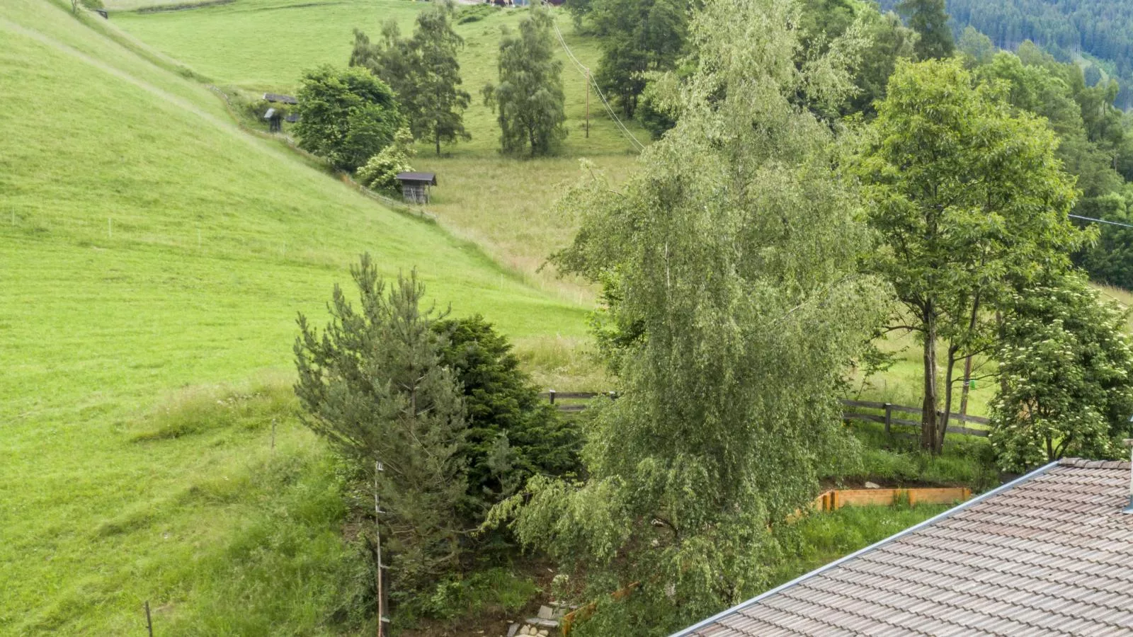 Ferienhaus an der Blumenwiese-Gebieden zomer 1km