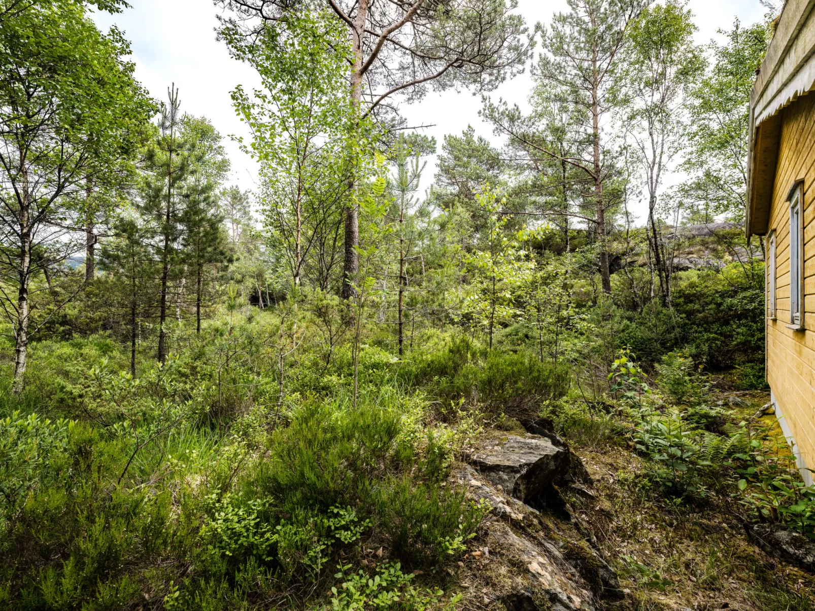 Solbakken-Buiten