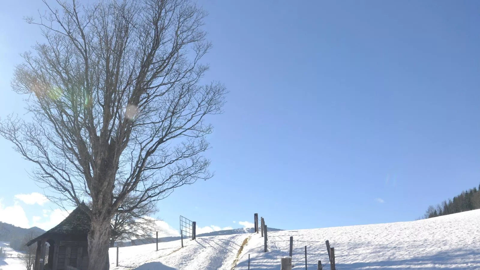 Grebenzen Eiszeit Lodge-Gebied winter 5km