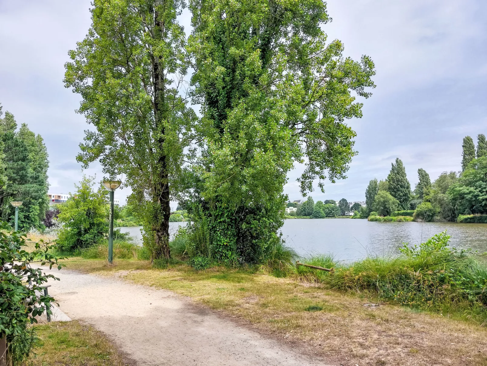 Calme et Vue sur l'Etang au Duc-Buiten