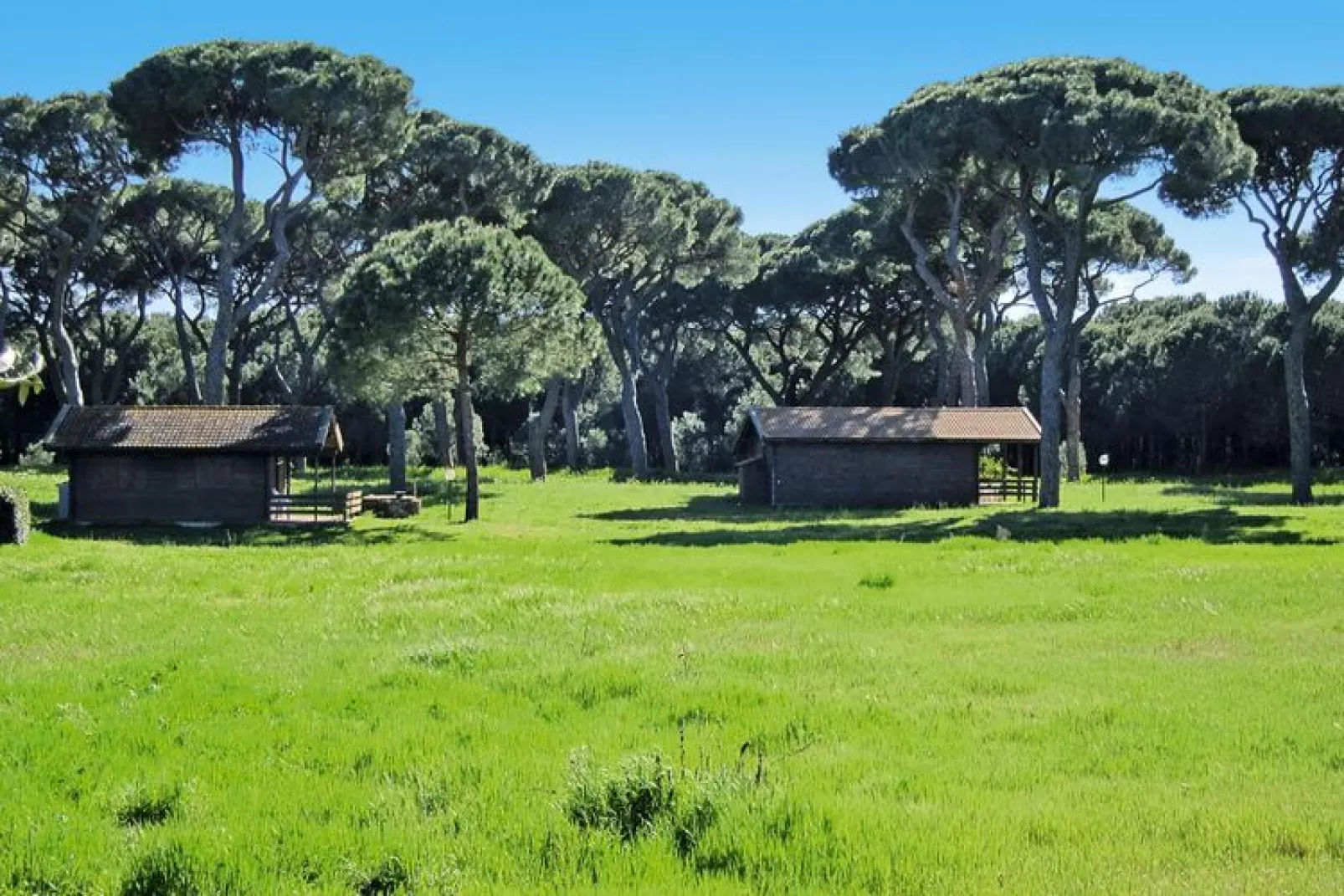 Ferienanlage Azienda Canova Seconda Marina di Grosseto EG Nebengebäude mit Gartenanteil-Tuinen zomer