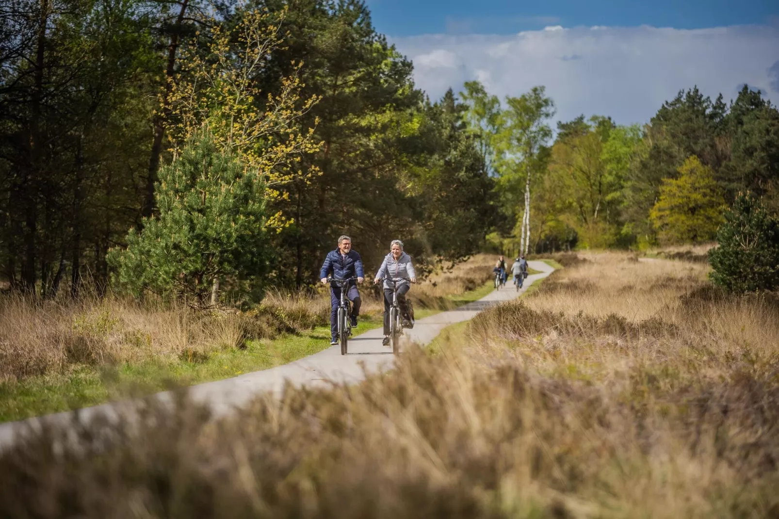 Vakantiepark De Rimboe & De Woeste Hoogte 1-Gebieden zomer 5km