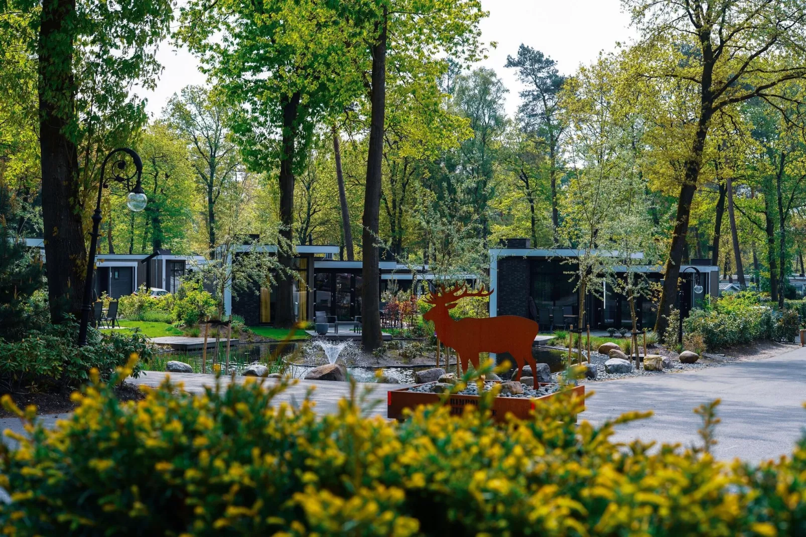 Vakantiepark De Rimboe & De Woeste Hoogte 2-Parkfaciliteiten