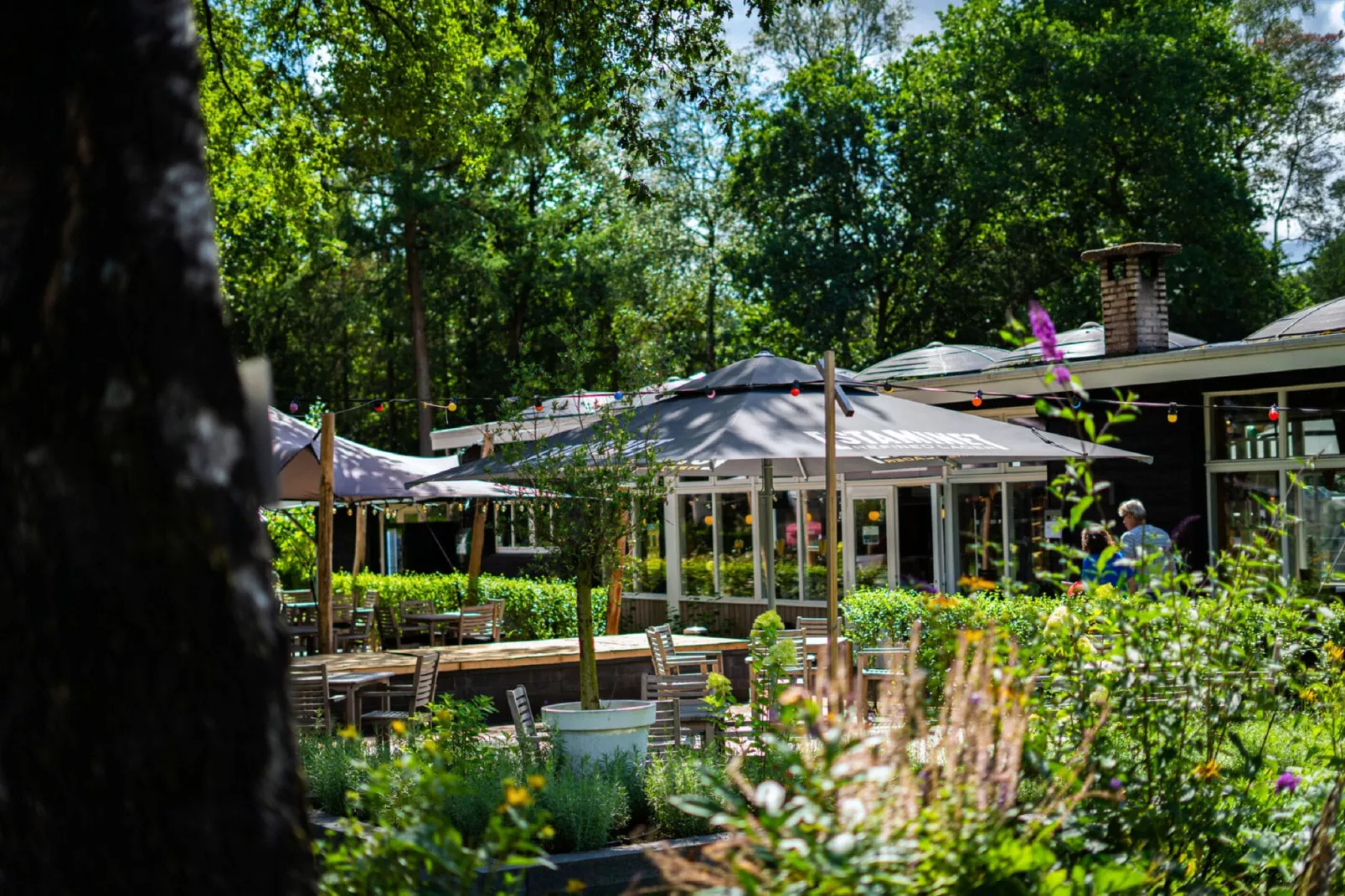 Vakantiepark De Rimboe & De Woeste Hoogte 2-Parkfaciliteiten