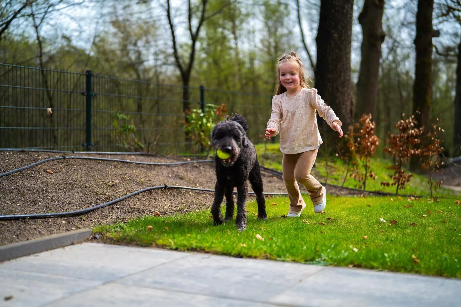 Vakantiepark De Rimboe & De Woeste Hoogte 2-Parkfaciliteiten